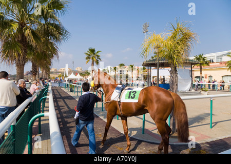 Mijas Costa del Sol Malaga Province Spain Showing the horses at the Mijas race track Stock Photo