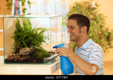 young man in front of terrarium with tarantulas - bird-eating spiders Stock Photo