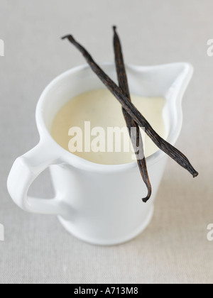 Vanilla custard in white jug on natural linen - high end Hasselblad 61mb digital image Stock Photo
