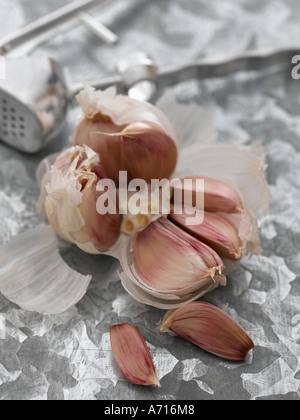 Garlic and crusher on metal worktop - high end Hasselblad 61mb digital image Stock Photo