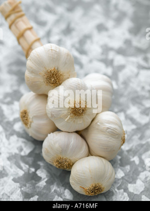 Garlic string on metal worktop - high end Hasselblad 61mb digital image Stock Photo