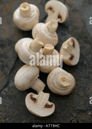 White button mushrooms on slate background - high end Hasselblad 61mb digital image Stock Photo