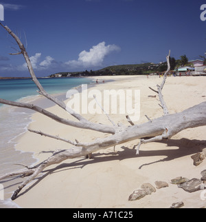 View along length of beautiful beach at Runaway Bay with clean clear sea lapping on the sand Antigua The Caribbean Stock Photo