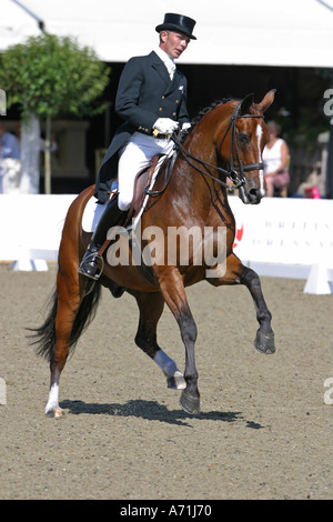 Male Dressage Rider and Rearing Horse in Arena Stock Photo - Alamy