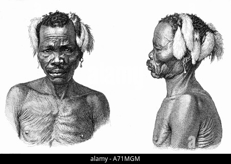geography / travel, Australia, people, Native Aborigines, man, portrait and profil, engraving, 19th century, historic, historical, Oceania, earring, head trapping, Indigenous Australian, men, male, Stock Photo