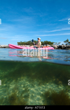 Man canoing in the Florida mangrove Stock Photo