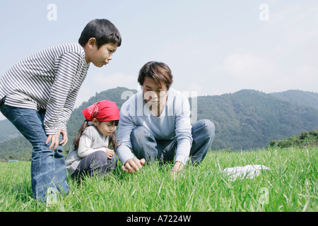 Family catching insects in meadow Stock Photo - Alamy