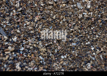 Texture and patterns in coarse sand Stock Photo