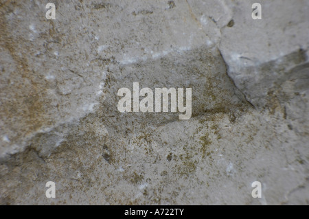 Texture and patterns in limestone Stock Photo