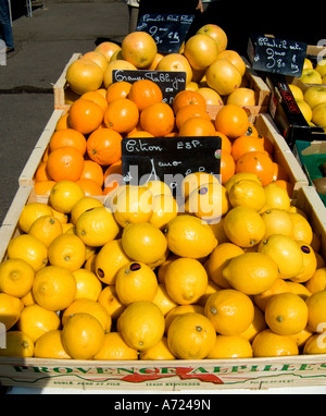 Citrus fruits ( lemons, oranges and grapefruit)  on sale in the Cours Saleya market in old town Nice on the Cote d'Azur, France Stock Photo