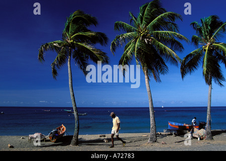 Martinique, Route des Anses, Beach, Petite Anse Stock Photo