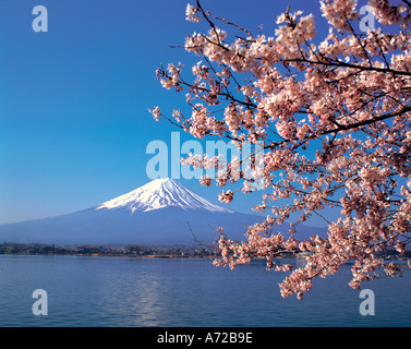 Mount Fuji and Cherry Blossoms Kawaguchi Lake Japan Stock Photo