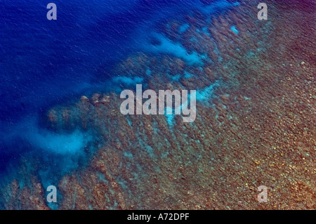 coral reef in the sea Stock Photo