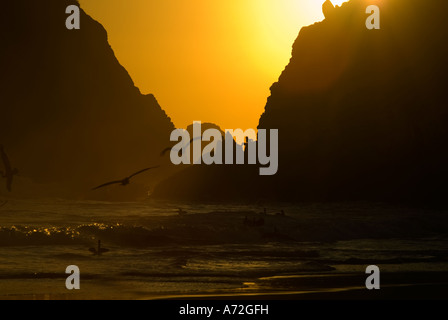 Zipolite - sunset with godwit and men in the background stand on the rocks - Oaxaca - Mexico Stock Photo