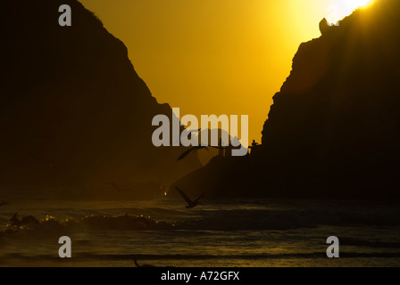 Zipolite - sunset with godwit and men in the background stand on the rocks - Oaxaca - Mexico Stock Photo