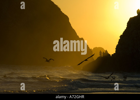 Zipolite - sunset with godwit and men in the background stand on the rocks - Oaxaca - Mexico Stock Photo