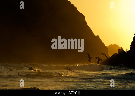 Zipolite - sunset with godwit and men in the background stand on the rocks - Oaxaca - Mexico Stock Photo