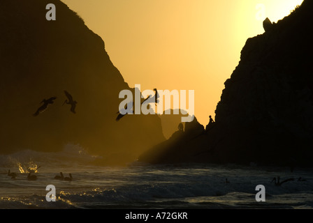 Zipolite - sunset with godwit and men in the background stand on the rocks - Oaxaca - Mexico Stock Photo