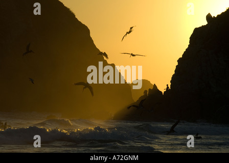 Zipolite - sunset with godwit and men in the background stand on the rocks - Oaxaca - Mexico Stock Photo