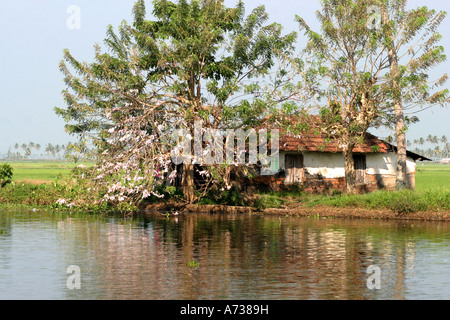 Modern housing on the banks of the Kerala Backwaters,India,Also known as the Venice of the East Stock Photo