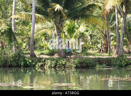 the Kerala Backwaters in Alappuzha , Southern India are sometimes referred to as the 'Venice of the East' Stock Photo