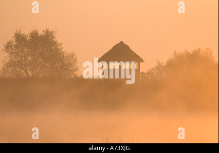 Misty Sunrise over Bird Observation Tower at Hickling Broad