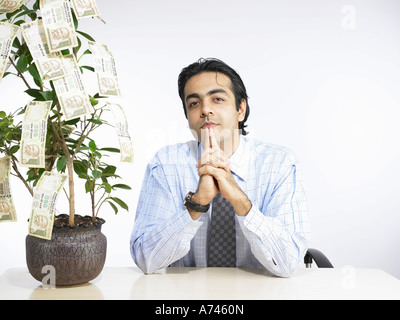 VDA 201878 South Asian Indian executive sitting on chair and thinking money plant on desk MR 702A Stock Photo