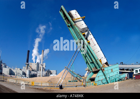 Trailers being dumped at a pulp mill. Stock Photo