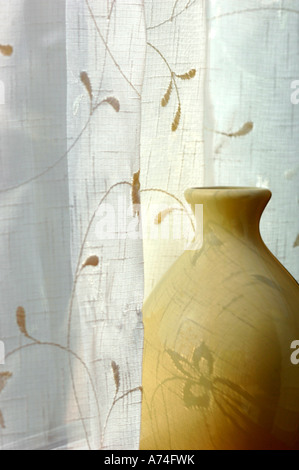 Still-Life, Pottery Vase In A Window.