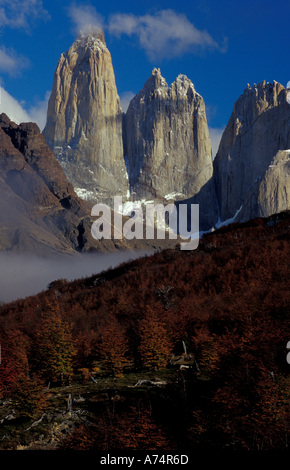 South America, Chile, Torres del Paine National Park, Torres del Paine and lenga forest in fall colors Stock Photo