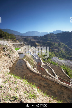 Rice Terraces At Maligcong Stock Photo