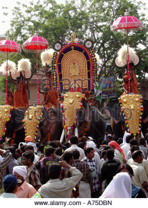 NEMMARA VELA PALAKKAD KERALA Stock Photo, Royalty Free Image: 8835680 ...