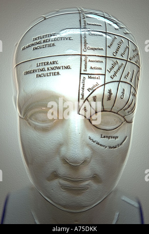 Phrenology head conceptual digital manipulation Stock Photo