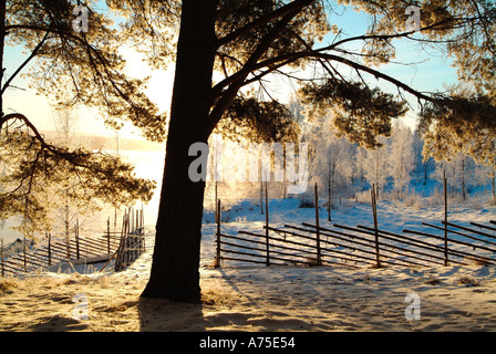 Frosty fence at sunrise in rural Varmland Sweden Stock Photo