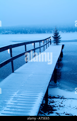 Christmas Tree with lights on a dock in lake Fryken Varmland Sweden Stock Photo