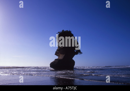 Sea Stack at Punakaiki Beach Paparoa National Park South Island New Zealand Stock Photo