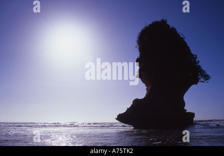 Sea Stack at Punakaiki Beach Paparoa National Park South Island New Zealand Stock Photo