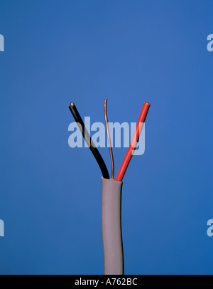 13 amp, three core copper ring main cable, showing plastic insulation and sheath, UK. Stock Photo