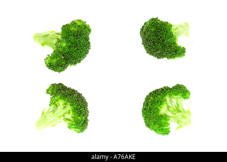 Four broccoli florets arranged on a pure white background. Stock Photo