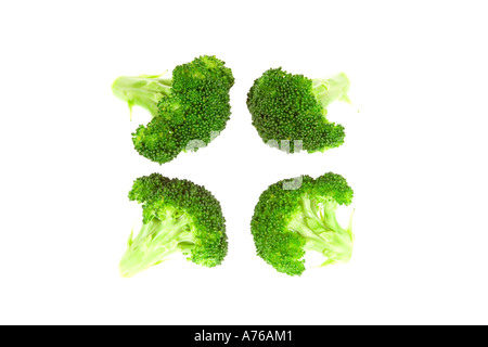 Four broccoli florets on a pure white background. Stock Photo