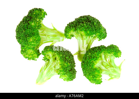 Four broccoli florets on a pure white background. Stock Photo