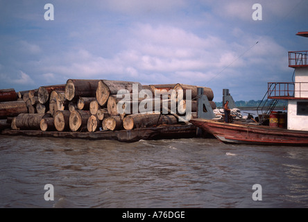 Large cut trees on barge Amazon River, Peru Stock Photo