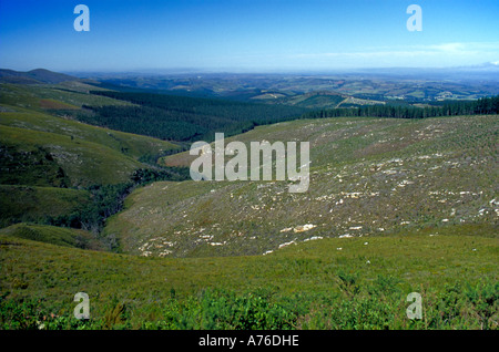 Scenic view of rolling hills on the Garden Route showing deforestation in this area. Stock Photo