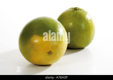 Two pomelos, close-up Stock Photo