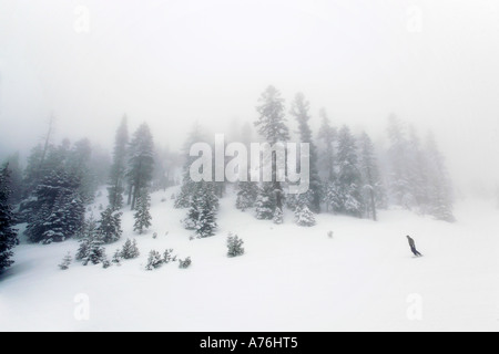 Wide angle of a lone snowboarder on a fog bound slope at the Heavenly Ski Resort in Lake Tahoe. Stock Photo