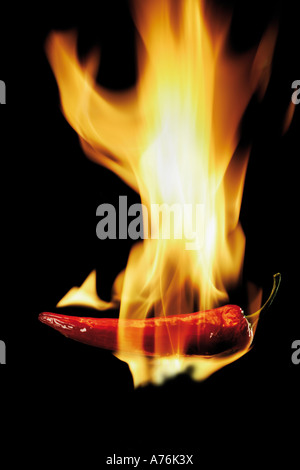Burning peperoni Stock Photo