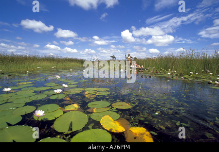 Lilies on the Okavango Delta with two tourist mokoro wooden boats in the background. Stock Photo