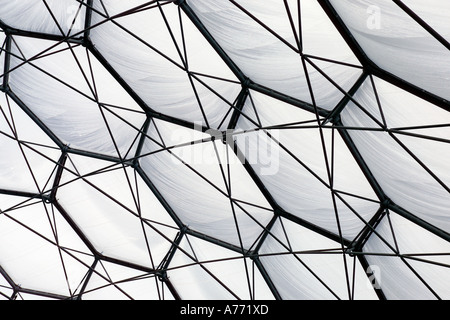 Close up of the panelled roof at the Eden Project. Stock Photo