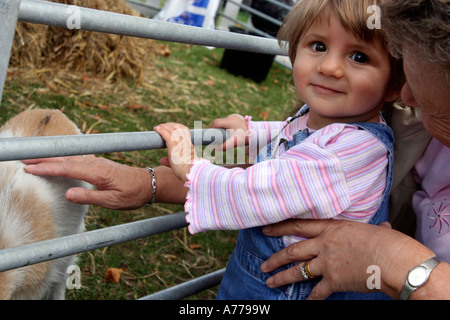 children petting the goat kid at The animal farm held at the rhs autumn flower show in Malvern Worcestershire uk 06 Stock Photo