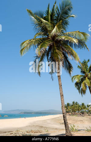 Agonda Beach, South Goa, Goa, India Stock Photo